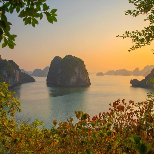 Ninh Binh - Ha Long Bay 