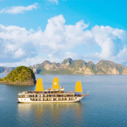 https://avexvietnam.com/wp-content/uploads/2025/07/Peony-Cruises.webp