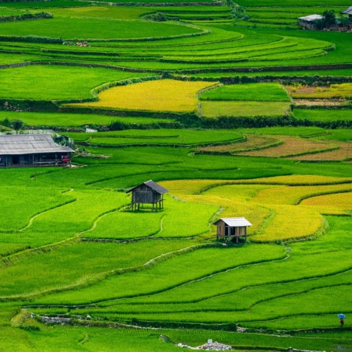 Nghia Lo - Mu Cang Chai 