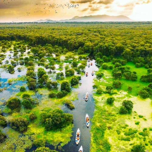 Ho Chi Minh - Mekong full day 