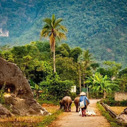 Mai Chau - Mai Hich - Hanoi 