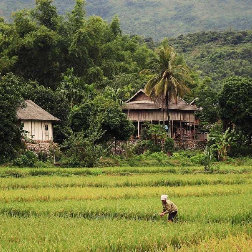 Hanoi - Mai Chau