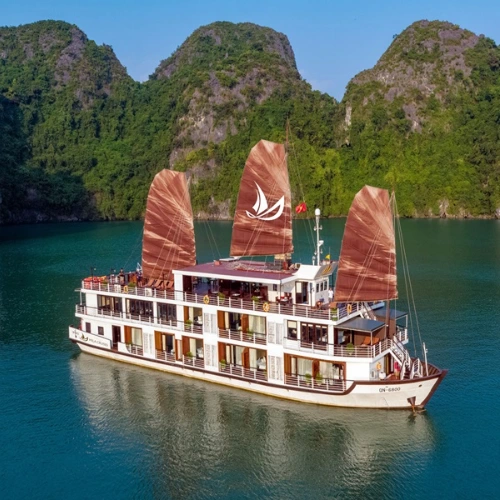 https://avexvietnam.com/wp-content/uploads/2025/09/Mila-Cruise.webp