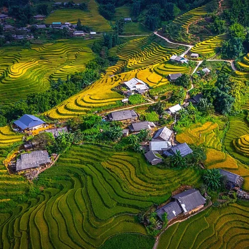 Sapa - Trekking Y Linh Ho - Lao Chai - Ta Van