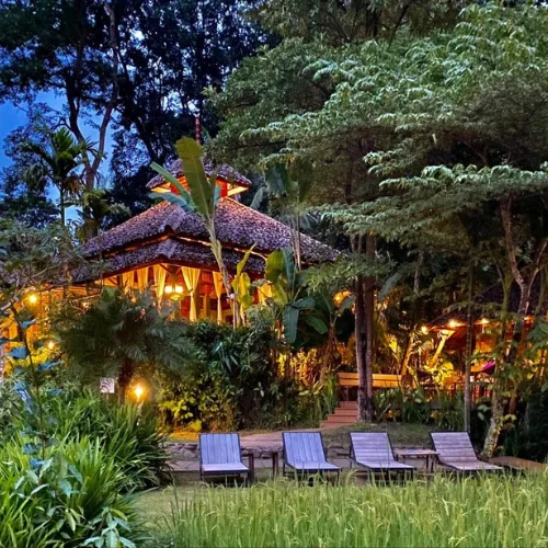 https://avexvietnam.com/wp-content/uploads/2025/10/Fern-Resort.webp