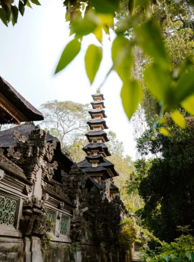 Discover the essence of Indonesia in 15 days