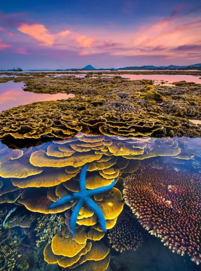 The best of Vietnam – Phu Yen beach in 10 days