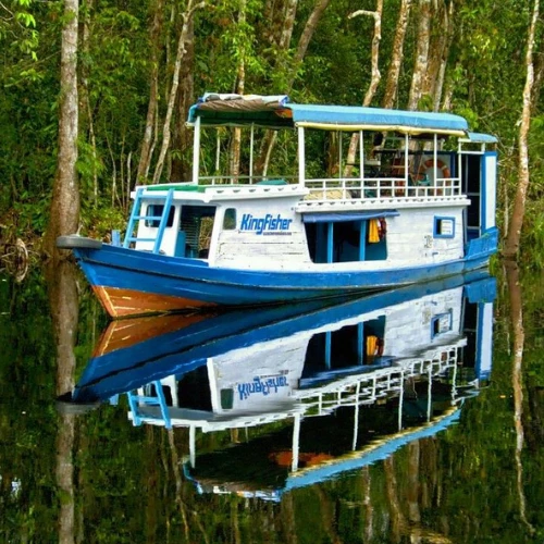 https://avexvietnam.com/wp-content/uploads/2025/10/Standard-Klotok-Boat.webp