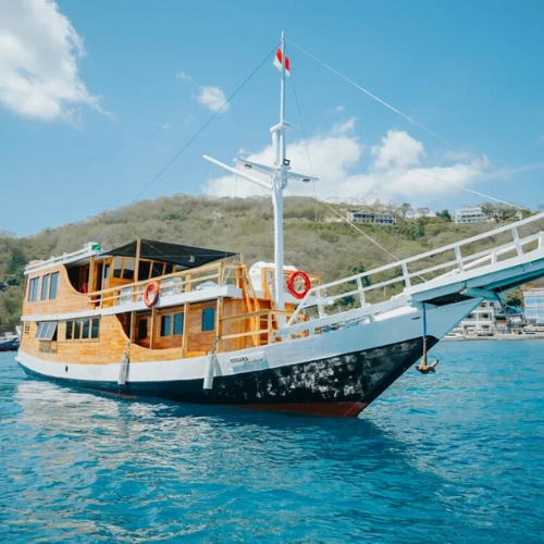 https://avexvietnam.com/wp-content/uploads/2025/10/Traditional-Boat-Standard-Cabin.webp