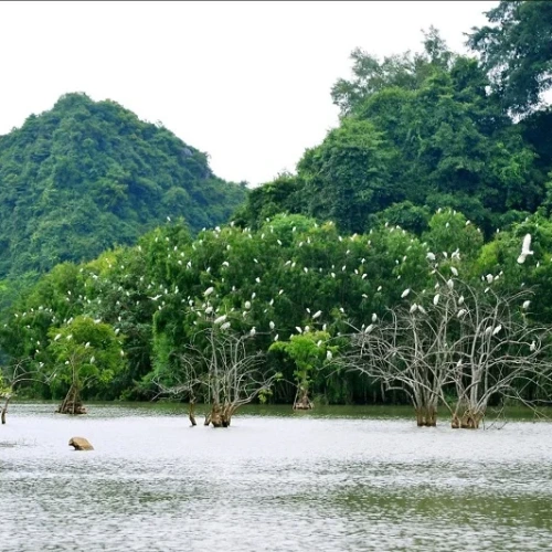 Mai Chau - Ninh Binh – Thung Nham Ecotourism 