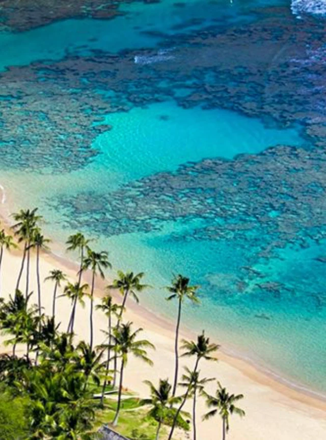 Hoi An – Cham island snorkelling join-in tour