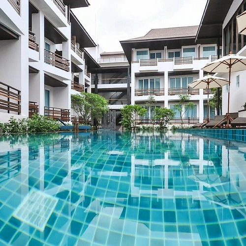 https://avexvietnam.com/wp-content/uploads/Le-Patta.webp