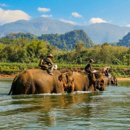 Luang Prabang – Elephant Experience and Hiking 