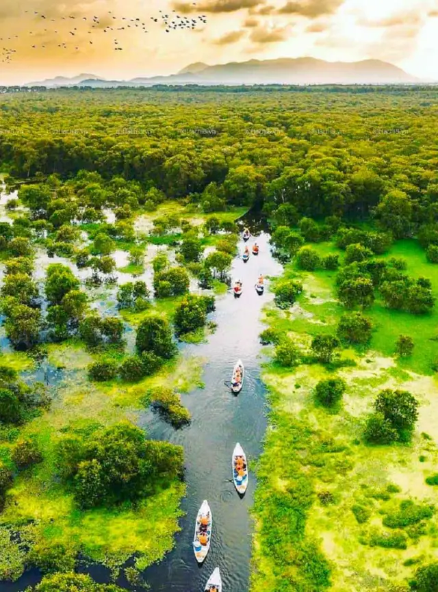 The Mekong Delta promotes the development of diverse and sustainable tourism