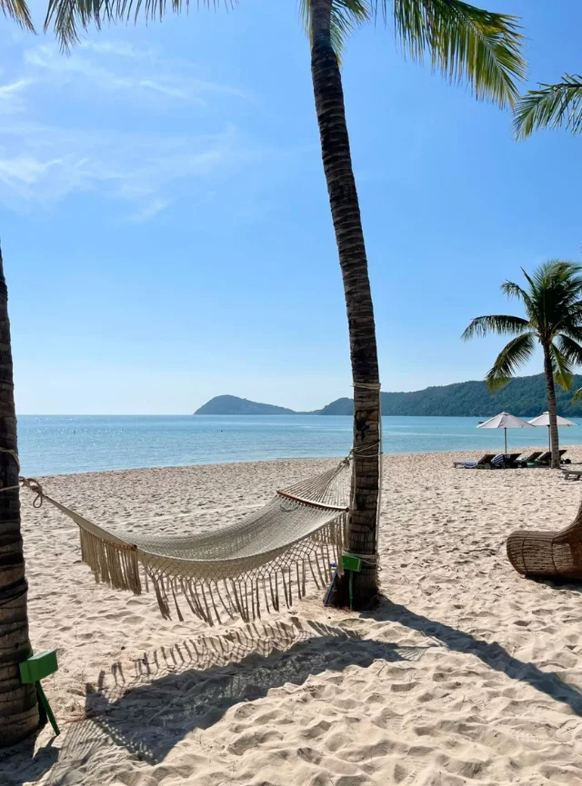 Vietnam 2026: Key destinations driving tourism growth